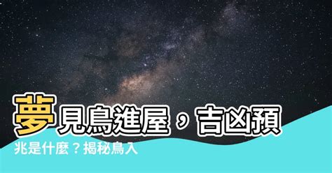 夢見鳥飛進家裡號碼|【夢見鳥號碼】夢見鳥也有好彩頭？夢境解構報你知！。